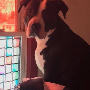 Meet your Posher, Tina